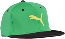 PUMA Erwachsene Cap Basic Strechfit, Island Green, Adult, 828267 03 -