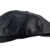 Sterkowski Echt Leder Schiebermütze Schlägermütze Flat Cap 57 cm Schwarz -