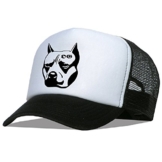 Tedd Haze Mesh Cap - O.G. Pitbull -