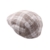 Wegener - Flatcap herren Seb - Size M - 